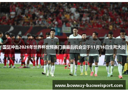 国足冲击2026年世界杯世预赛门票最后机会定于11月16日生死大战