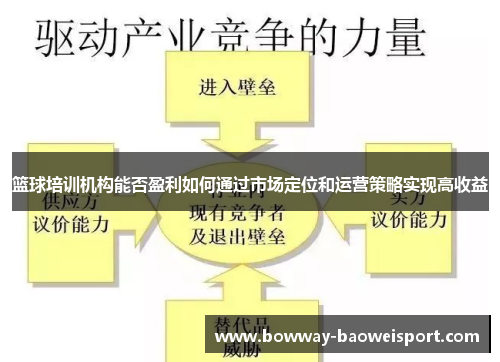 篮球培训机构能否盈利如何通过市场定位和运营策略实现高收益