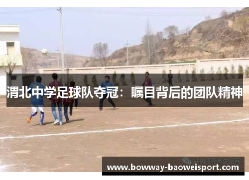 渭北中学足球队夺冠：瞩目背后的团队精神