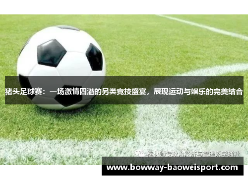猪头足球赛：一场激情四溢的另类竞技盛宴，展现运动与娱乐的完美结合