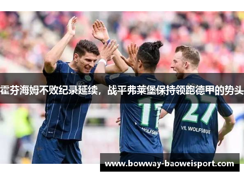 霍芬海姆不败纪录延续，战平弗莱堡保持领跑德甲的势头