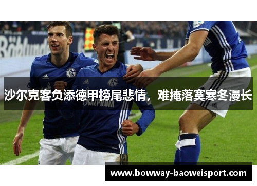 沙尔克客负添德甲榜尾悲情，难掩落寞寒冬漫长