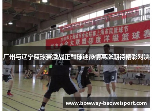 广州与辽宁篮球赛激战正酣球迷热情高涨期待精彩对决
